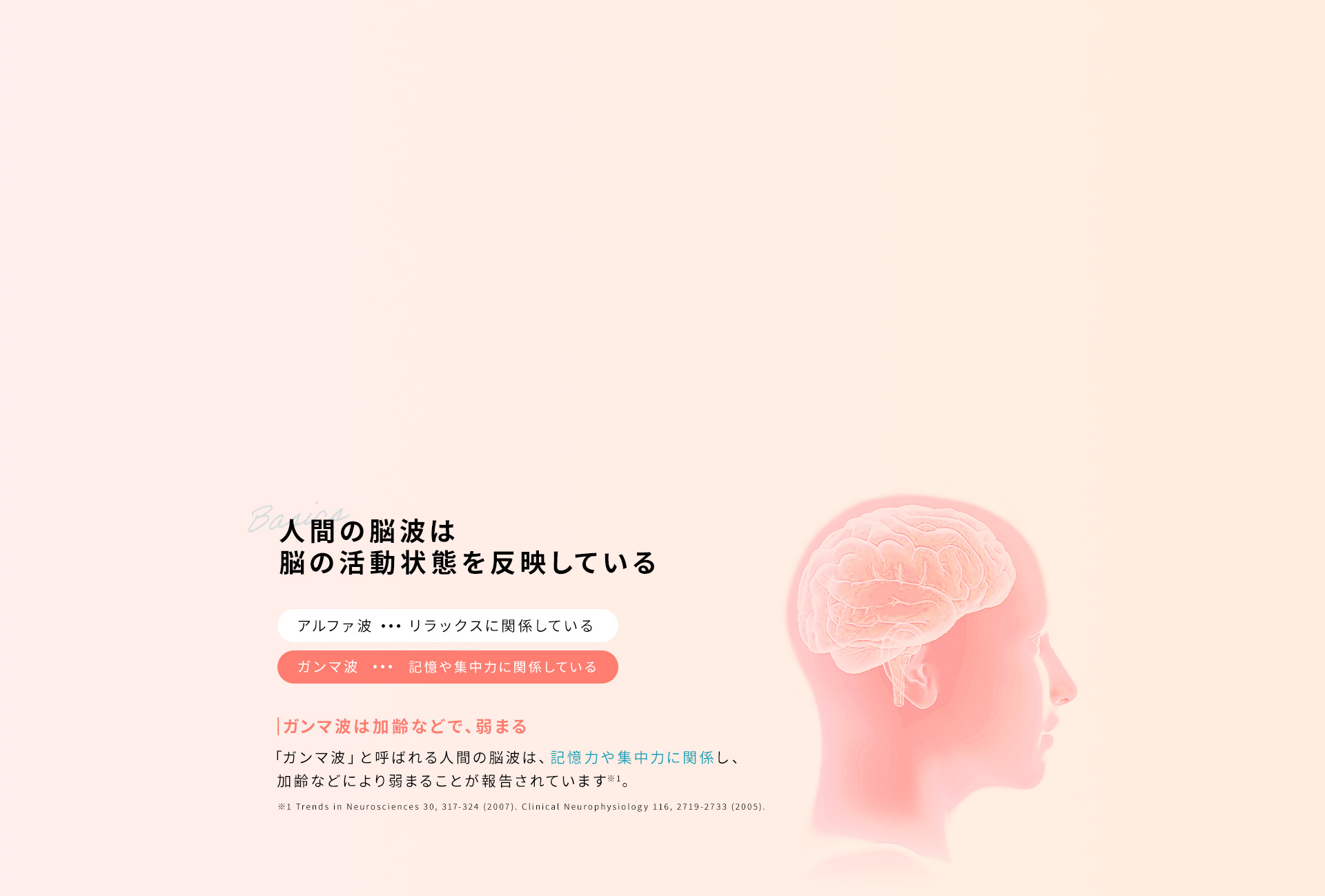 人間の脳波について