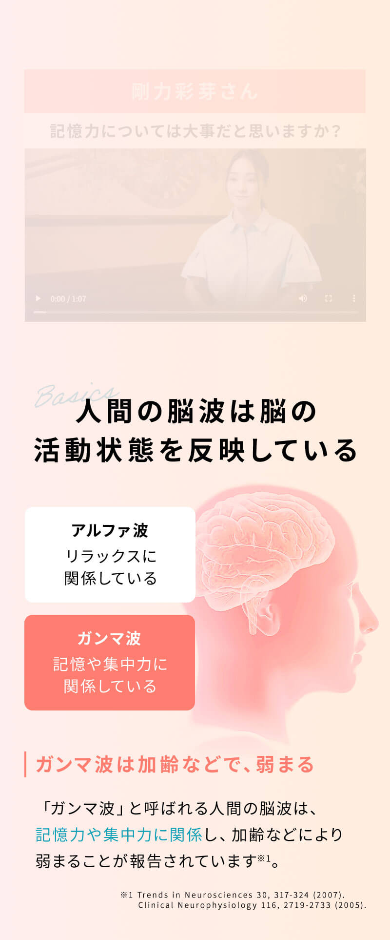 人間の脳波について