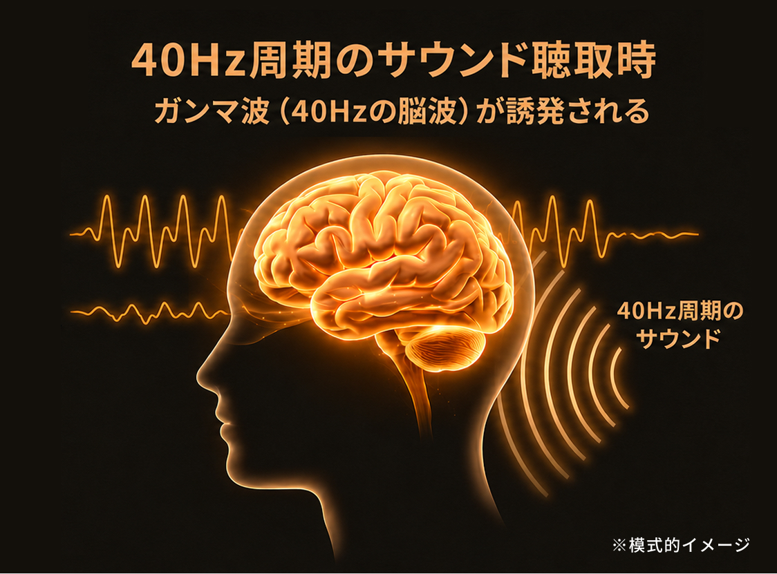40Hz周期のサウンドが脳を刺激する模式的イメージ